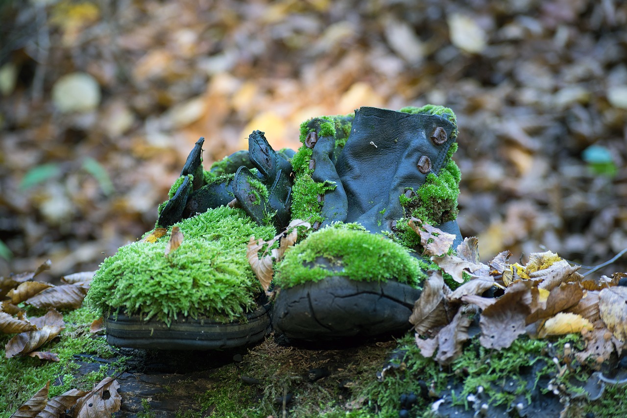 Biodegradable Leather Is Leather Biodegradable