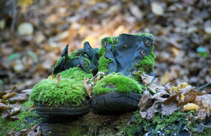 leather biodegradability